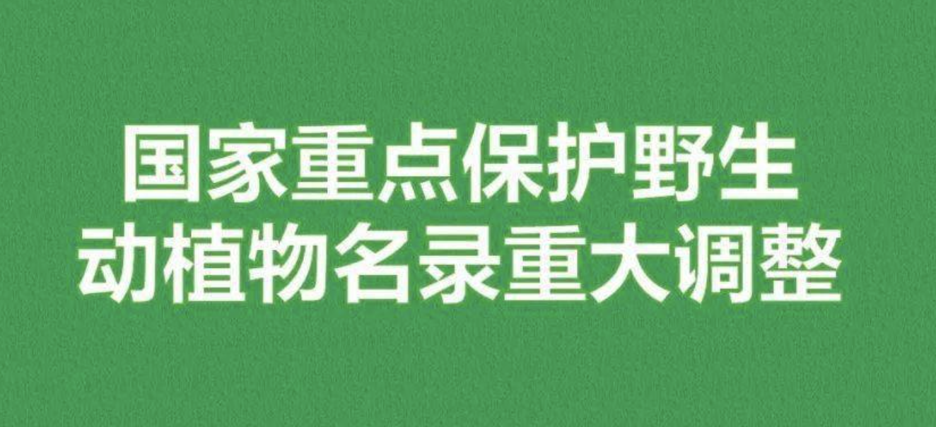 重磅！新版國(guó)家重點(diǎn)保護(hù)野生植物名錄公布，58種/屬列入一級(jí)保護(hù)，值得收藏