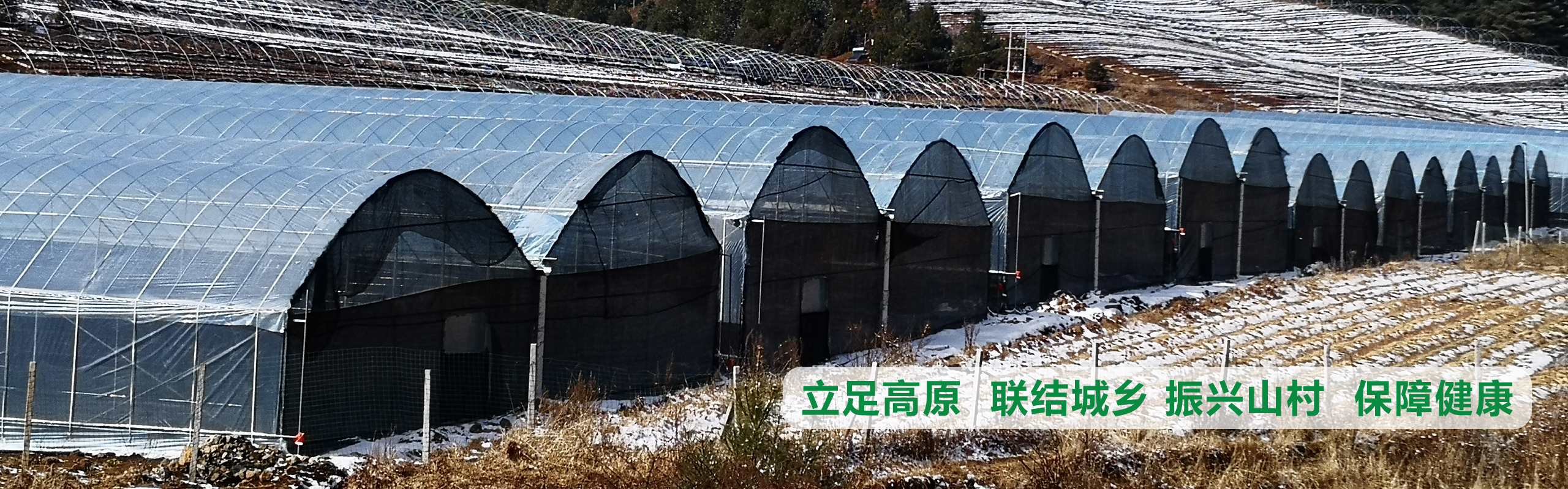 立足高原、聯(lián)結(jié)城鄉(xiāng)、振興山村、保障健康